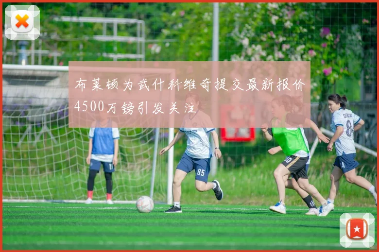 布莱顿为武什科维奇提交最新报价4500万镑引发关注